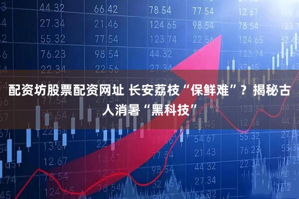 配资坊股票配资网址 长安荔枝“保鲜难”？揭秘古人消暑“黑科技”