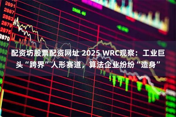 配资坊股票配资网址 2025 WRC观察：工业巨头“跨界”人形赛道，算法企业纷纷“造身”