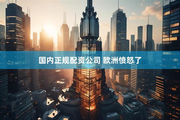 国内正规配资公司 欧洲愤怒了