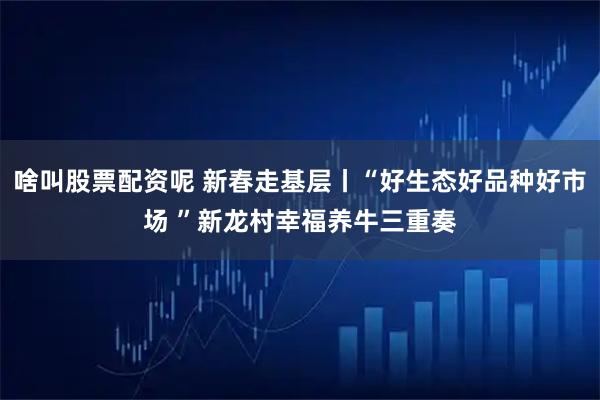 啥叫股票配资呢 新春走基层丨“好生态好品种好市场 ”新龙村幸福养牛三重奏