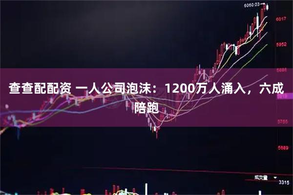 查查配配资 一人公司泡沫：1200万人涌入，六成陪跑